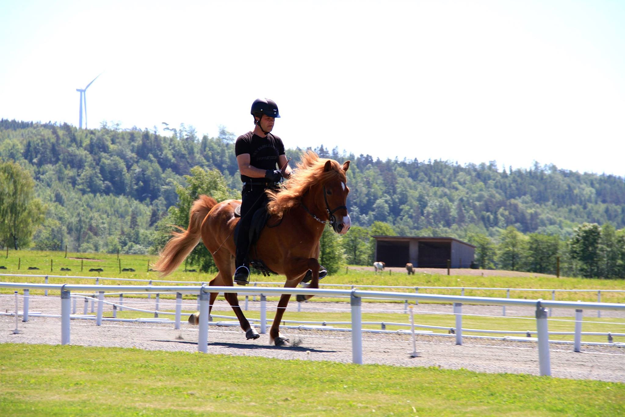 Erlingur Erlingsson visar en av de många hästar han har med sig denna helg