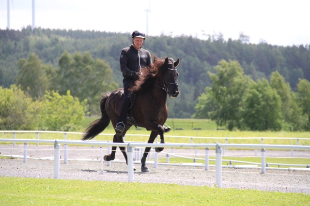 Tinna frá Þóroddsstöðum med Magnus Skúlasson i sadeln, hela 9 för pass! Foto: Johanna Wingstrand