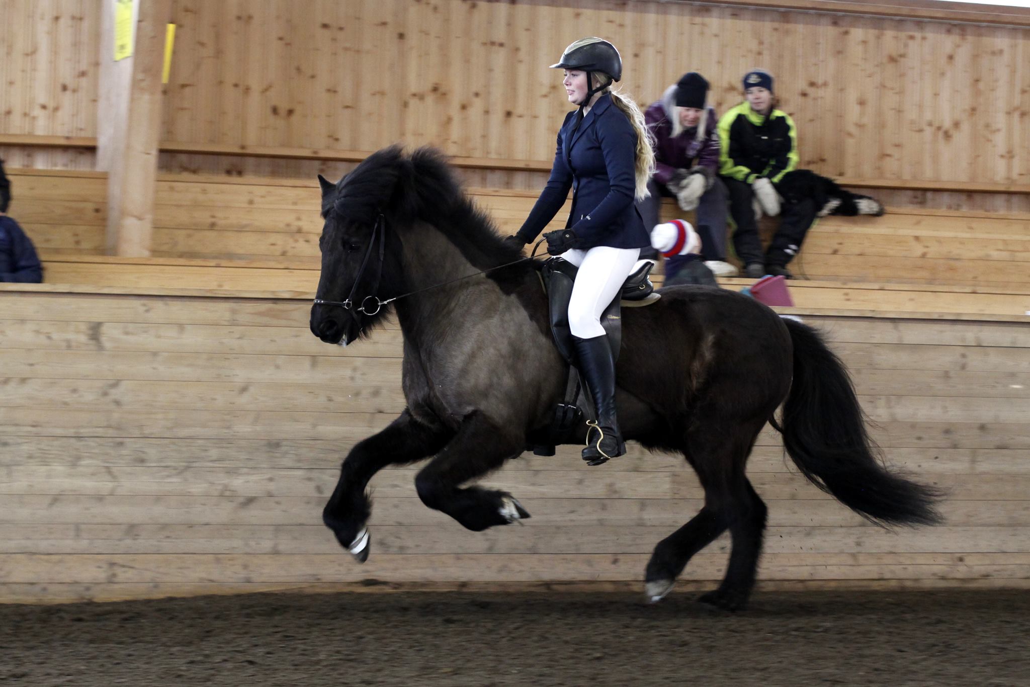 Ellinor Sollander (youngrider) med hästen Svadilfari. Ellinor fick Feather Prize YR för harmonisk ridning. Foto: Matilda Persson