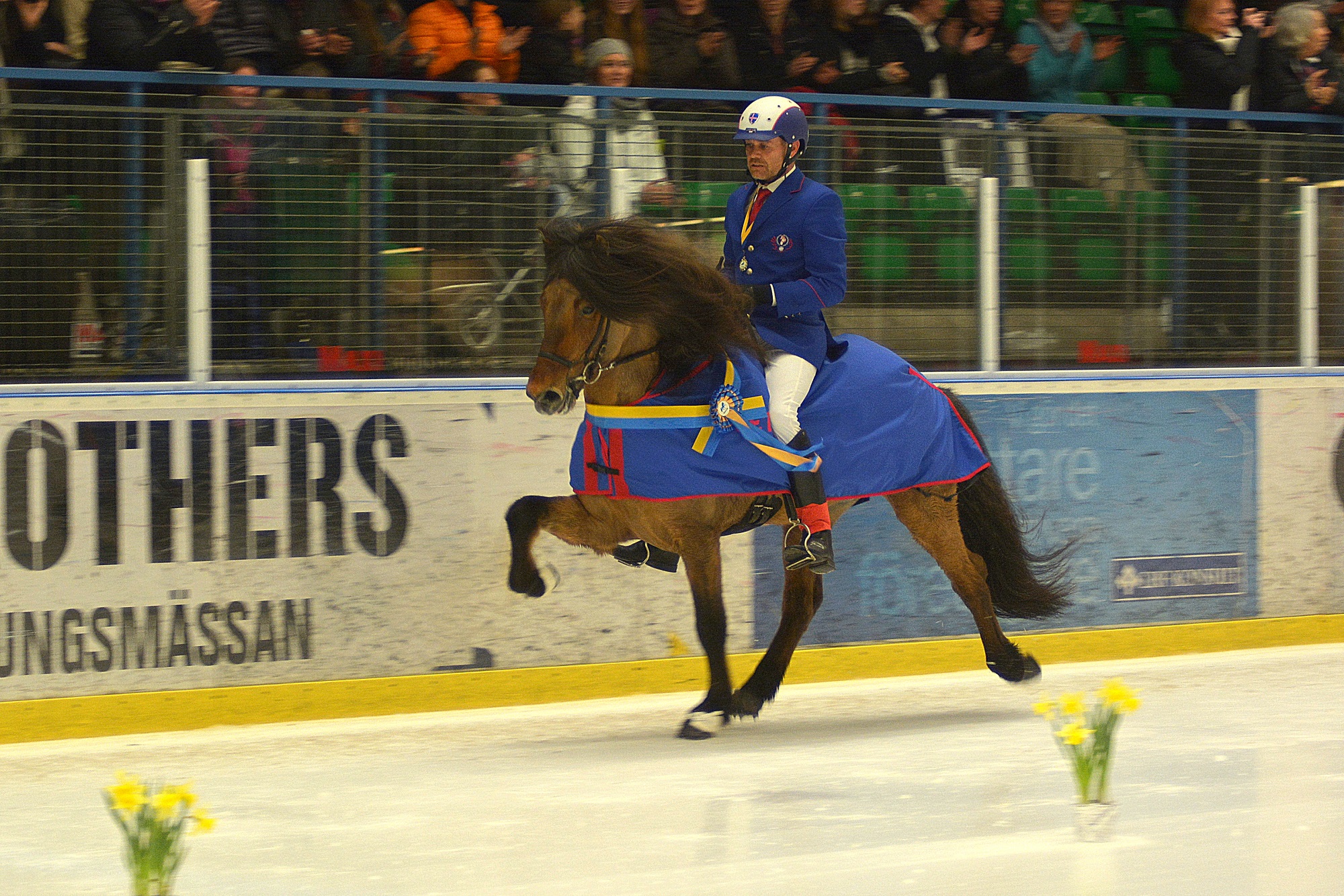 Jóhann R Skúlason segrade i 2015 års Tölt on Ice på sin fantastiska häst Hnokki frá Fellskoti (foto: Treell Photo)