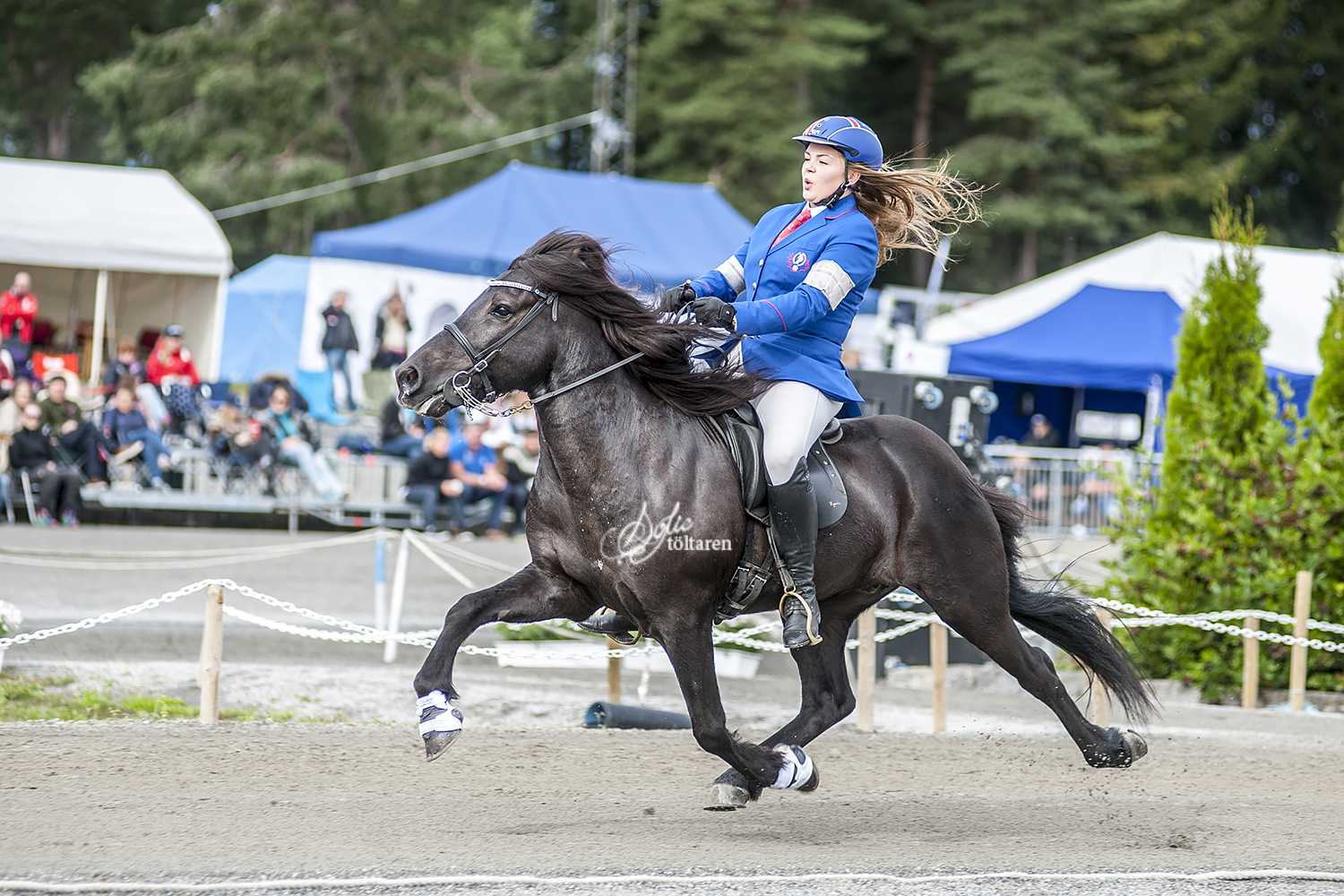 Fullt ös! Ásdis och kkjjkjkkj rider för vinst iB-finalen Foto: Sofie Lahtinen Carlsson