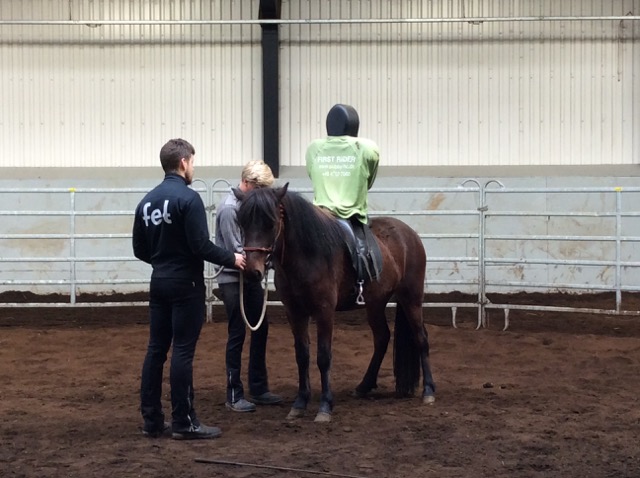 First Rider-dockan får lära hästen att bära ryttare. Foto: Änges Kristina Lundén