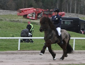 Helene Gustafsson på Fjodor från Sundsby fick högst poäng i fyrgången. Foto: Isabella Mena Winkler