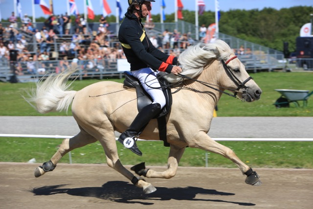 Helmut och Blöndal, Världsmästare 2015 Foto: Ishestnews.se