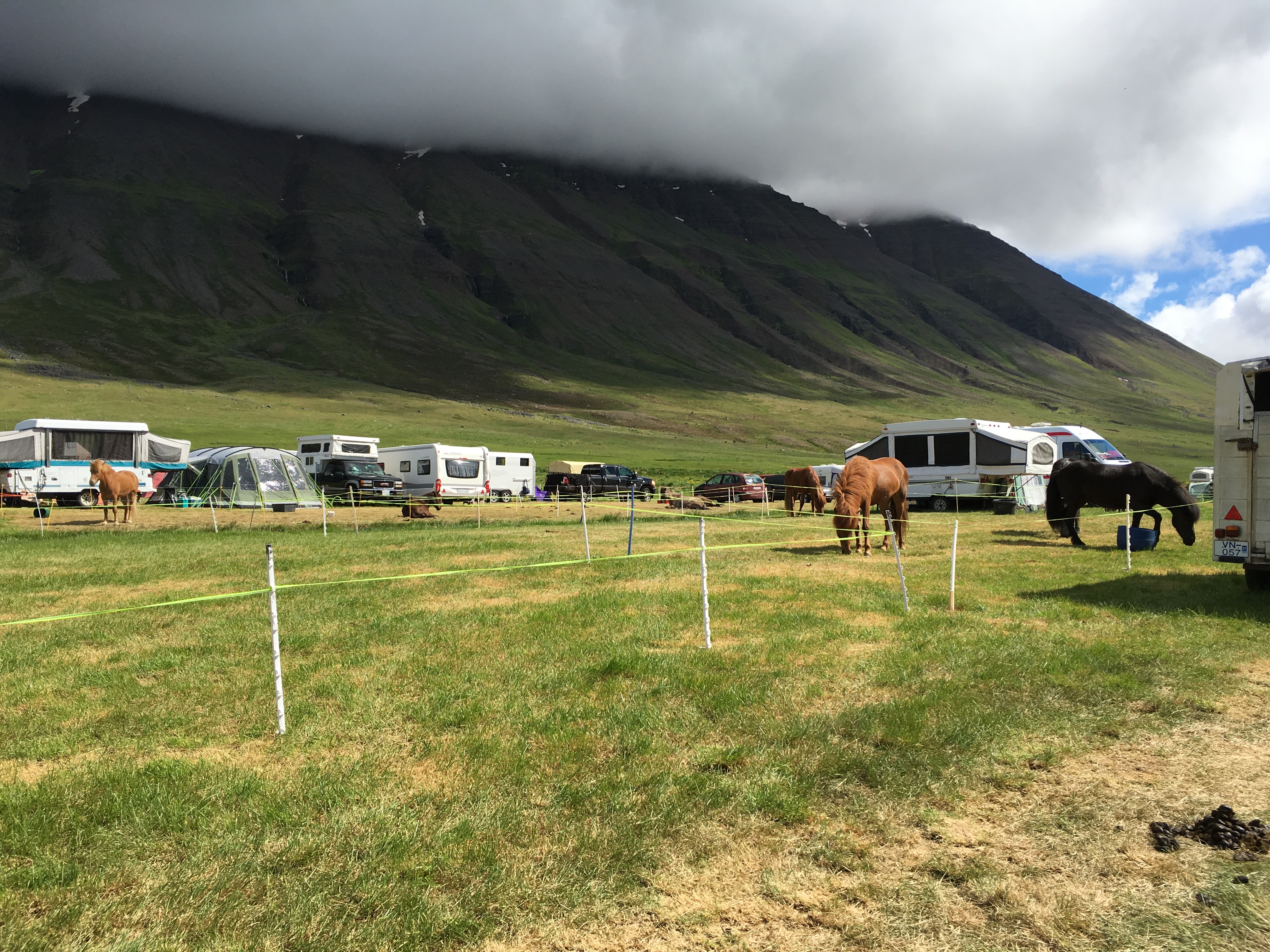 Hästar, bilar och tält Foto: Ishestnews.se