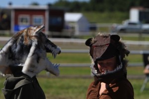 En varg och en björn diskuterar. Foto: Yvonne Benzian/ishestnews.se 