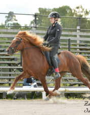 Kelly o Balthasar