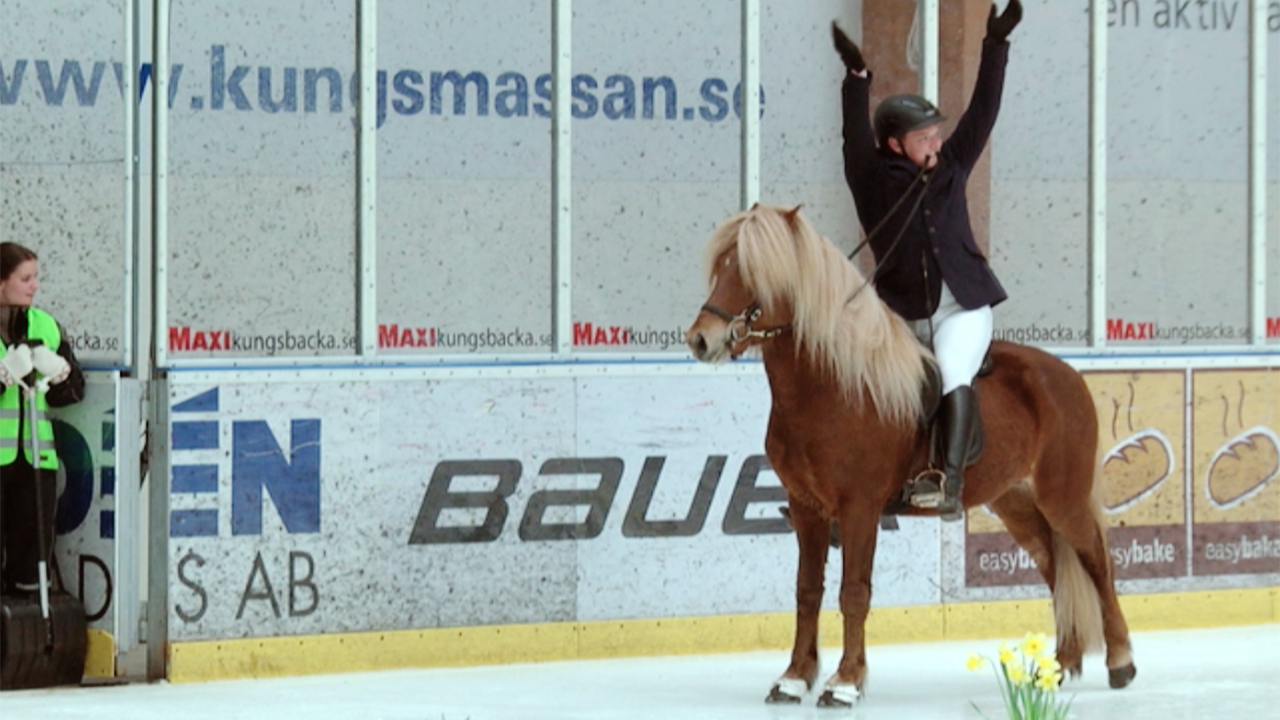 Kristjan Magnusson och Hugur frá Steinsholti. Foto: Horse1TV