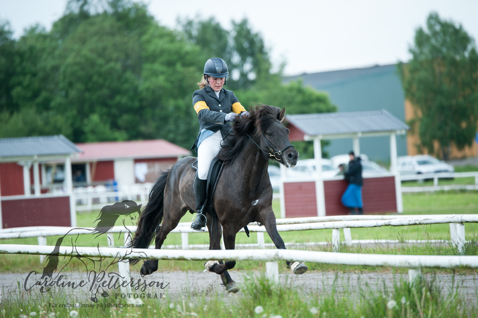 arah Hamilton-Widegren på hästen Pinni fra Rettarholti Foto: Caroline Pettersson