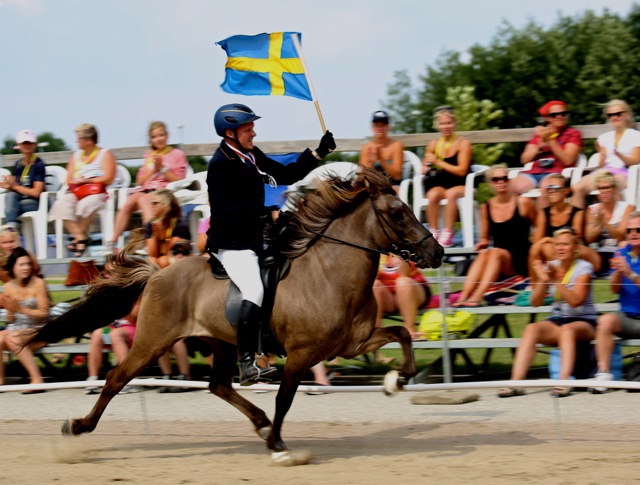 Här viftar svenska flaggan för en silvermedalj. Foto: Yvonne Benzian/ishestnews.se