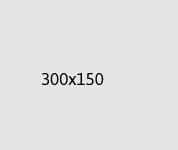 300×150-2