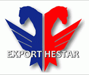 ExportHestar300x150