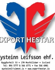 s_EysteinnLeifssonehf-logo