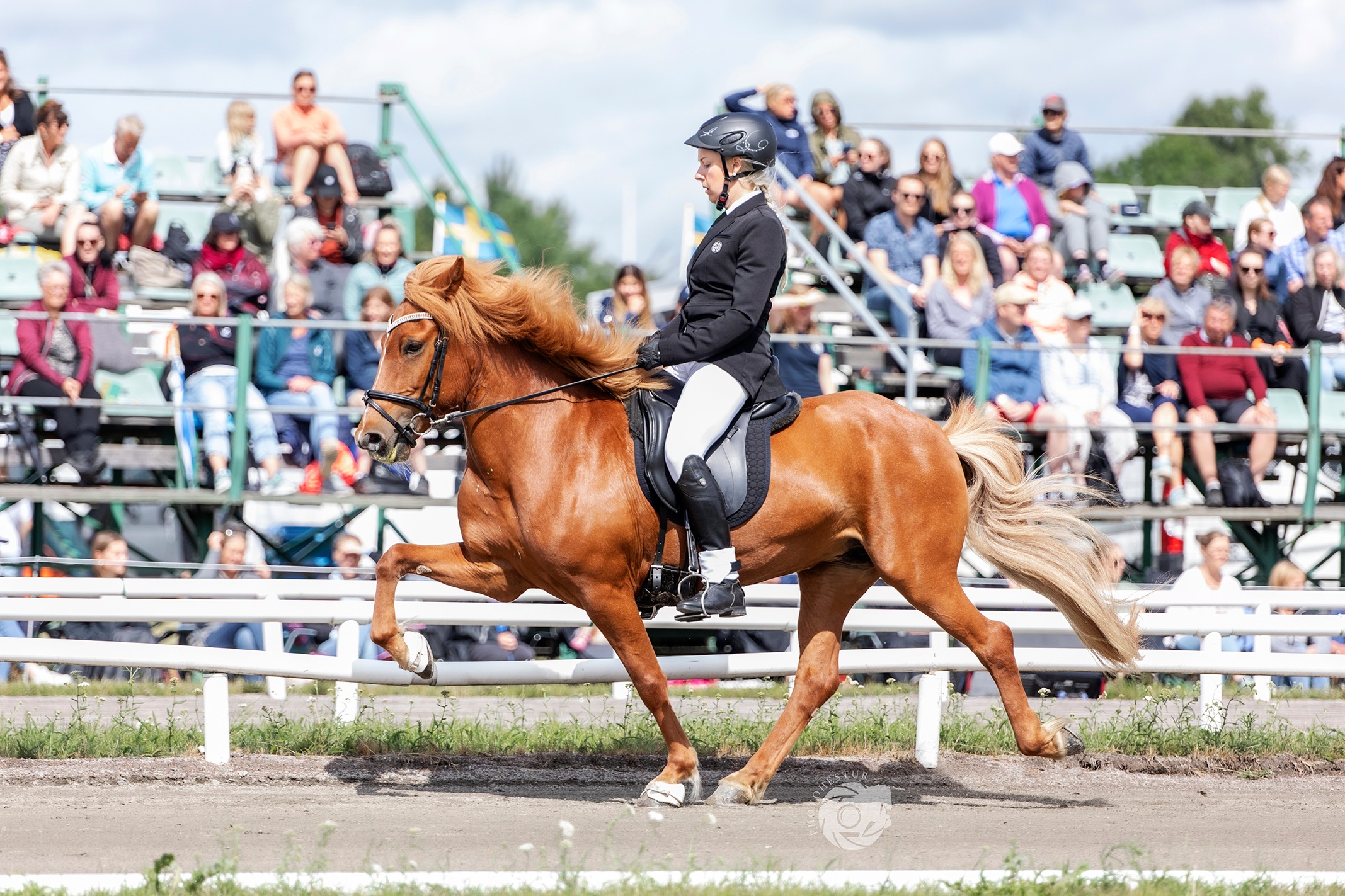 SM 2022: Extremt Tätt I B-finalen. Johanna Och Næpa Tog Segern ...