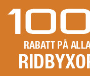 300×150