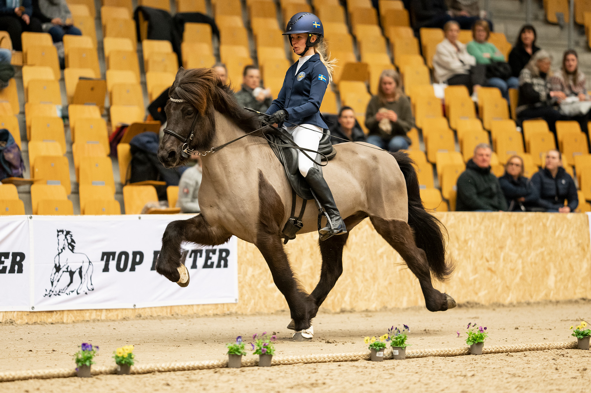 World Toelt 2024 är inställt! | IsHestNews.se