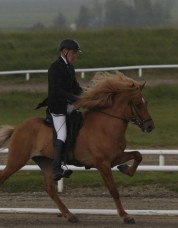 KonsertTrav2