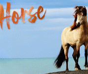 Nyttorp_banner_kop_din_tidning_300x150px