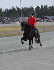 Simon och Magnús