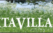 VV_banner