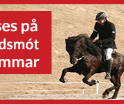 Vefborði 300x150_sænski