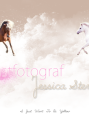 js3