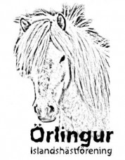orlingur