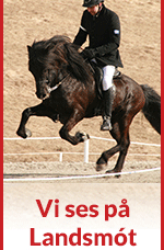 vefbordi150x300 sænska